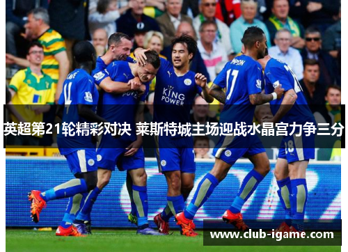 英超第21轮精彩对决 莱斯特城主场迎战水晶宫力争三分 英超第21轮精彩对决 莱斯特城主场迎战水晶宫力争三分