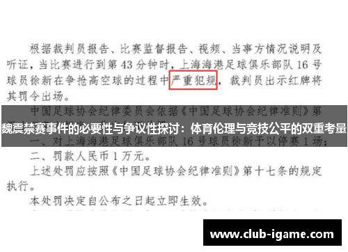 魏震禁赛事件的必要性与争议性探讨：体育伦理与竞技公平的双重考量