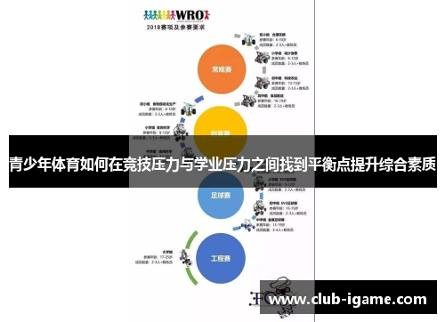 青少年体育如何在竞技压力与学业压力之间找到平衡点提升综合素质