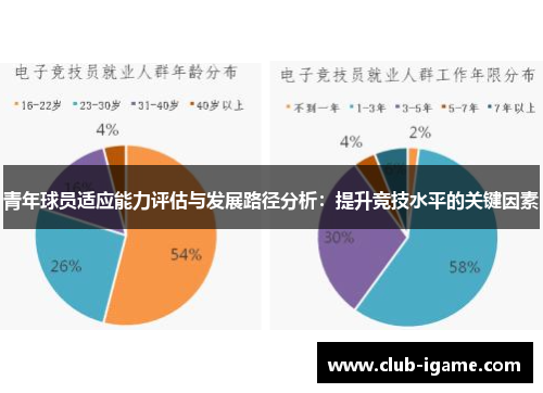 青年球员适应能力评估与发展路径分析：提升竞技水平的关键因素