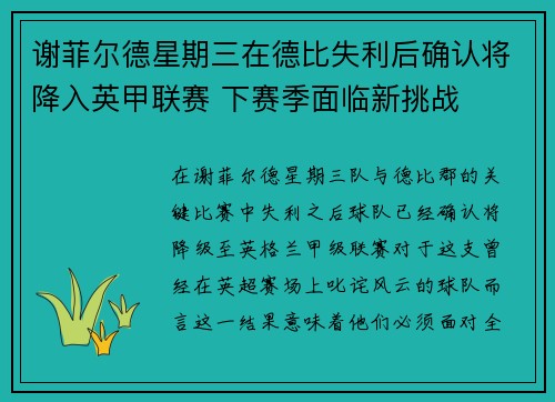 谢菲尔德星期三在德比失利后确认将降入英甲联赛 下赛季面临新挑战